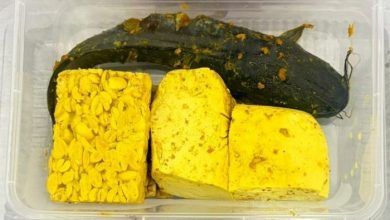 BARU. Menu program MBG di Pamekasan yang menampilkan lele marinasi bersama tempe dan tahu, menu ini menjadi sorotan setelah diduga disajikan dalam kondisi belum matang. (istimewa/redaksi/estoria)