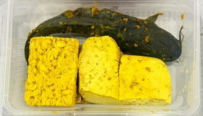 BARU. Menu program MBG di Pamekasan yang menampilkan lele marinasi bersama tempe dan tahu, menu ini menjadi sorotan setelah diduga disajikan dalam kondisi belum matang. (istimewa/redaksi/estoria)